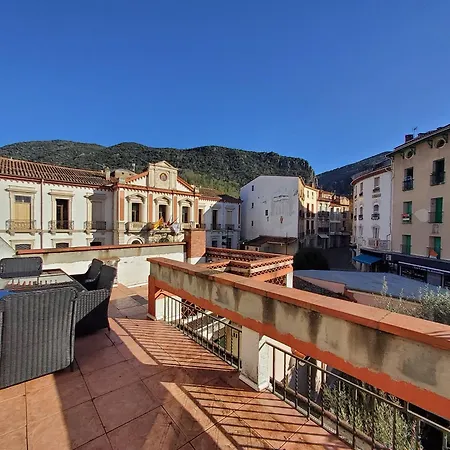 Rosa Amelie-les-Bains-Palalda
